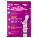 Lines Specialist Normal 12 pezzi